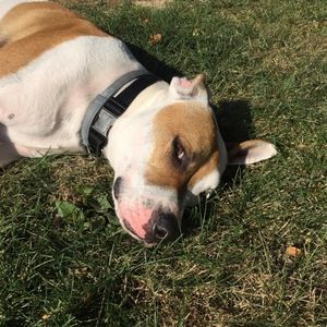 Meet your Posher, Tiffany